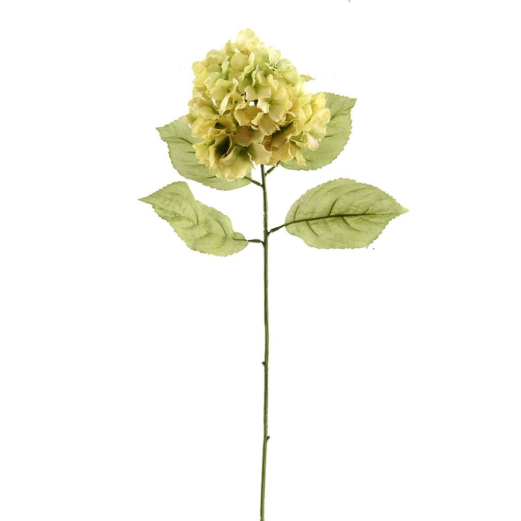 MP328156_1.jpg img